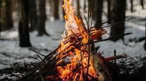 Wild Camp Forêt winter 4